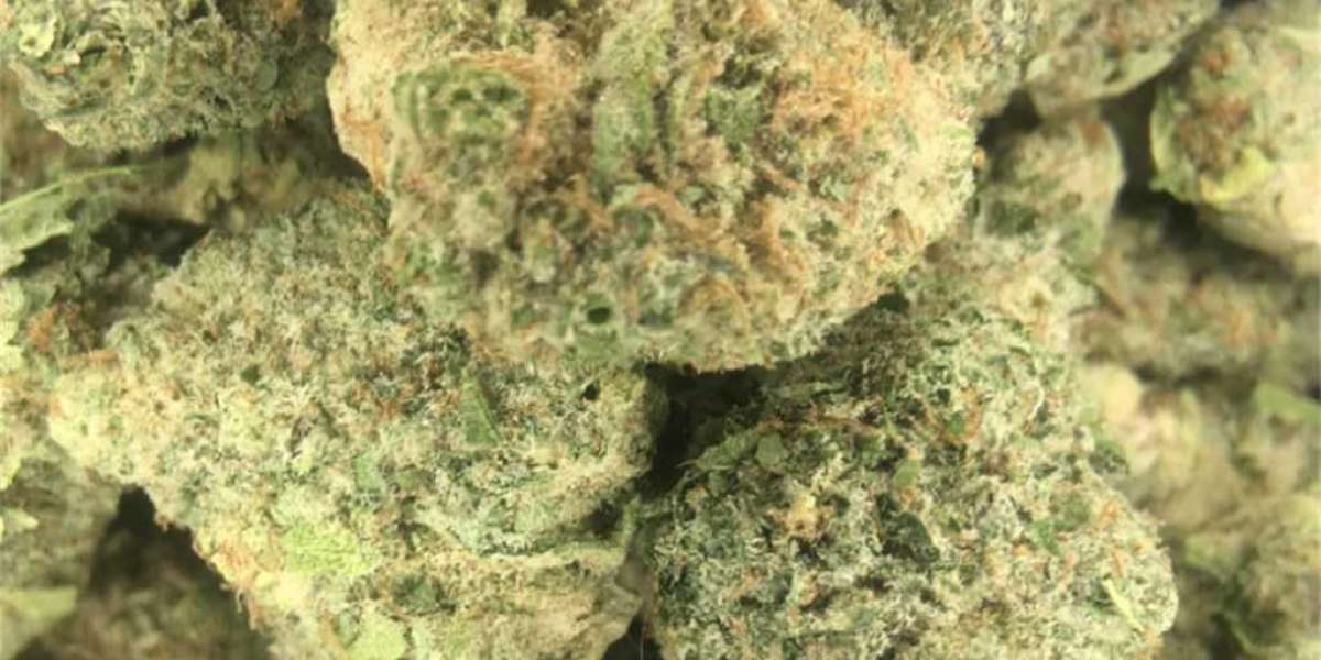 Medical benefits of Blue moon rock weed strains