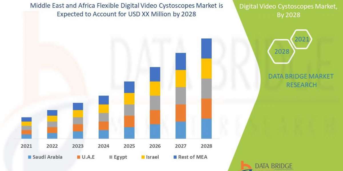 Future Growth, Revenue of Middle East and Africa Flexible Digital Video Cystoscopes Market to 2029