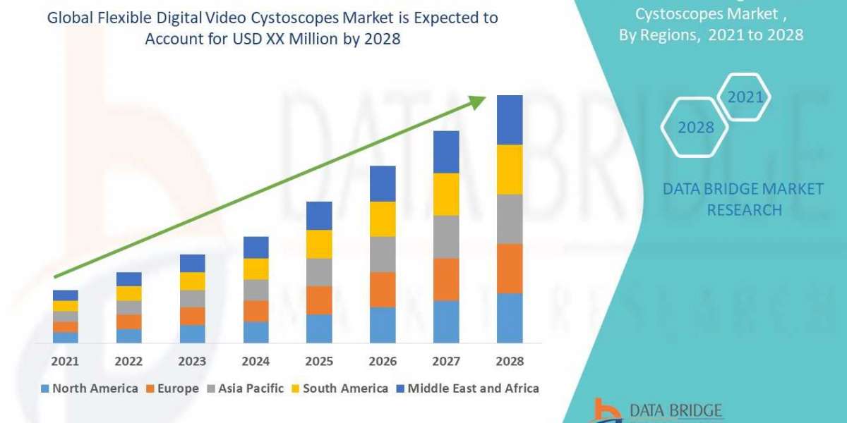 Global Flexible Digital Video Cystoscopes Market – Industry Trends and Forecast to 2028