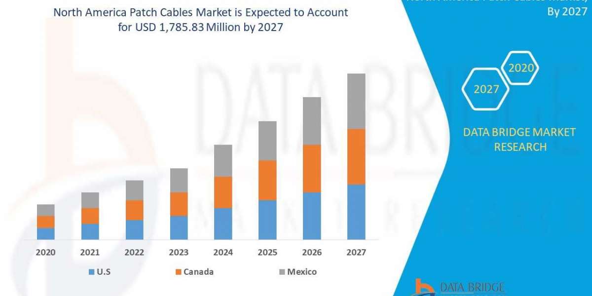 North America Patch cables market opportunity Analysis and   Industry Trends and opportunities
