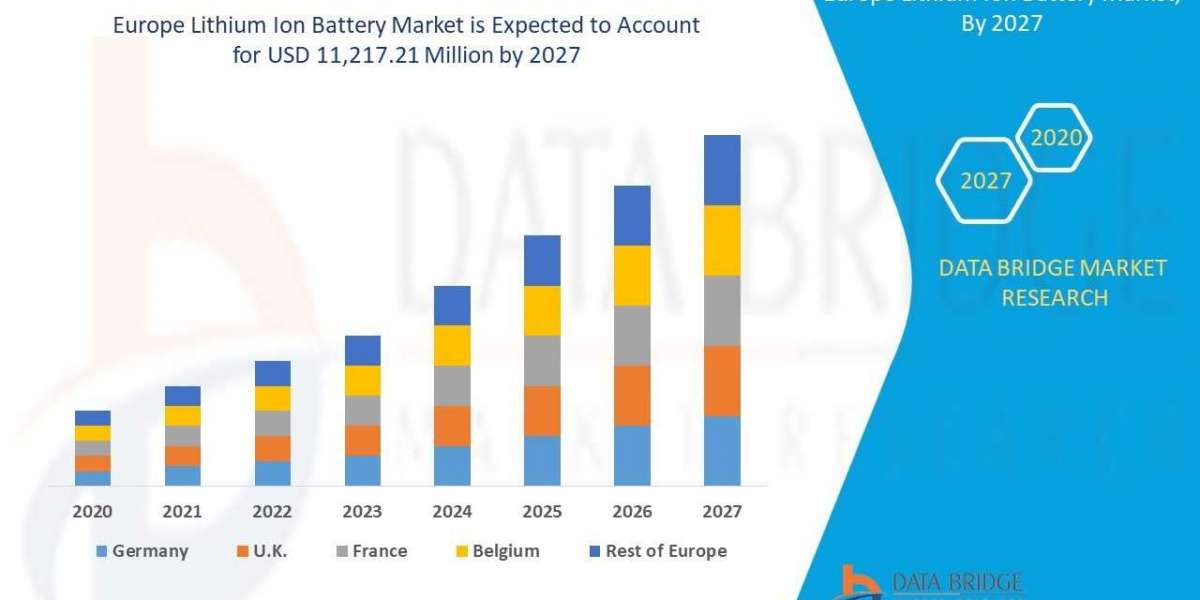 Business Insights of Europe Lithium Ion Battery Market