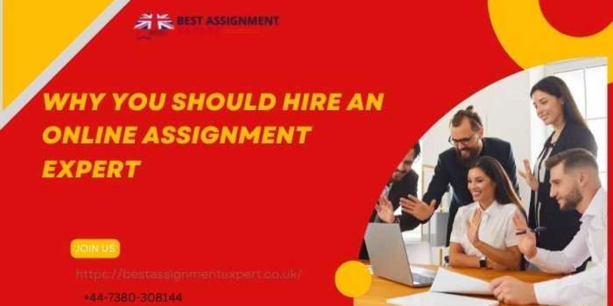 Why you should hire an online assignment expert