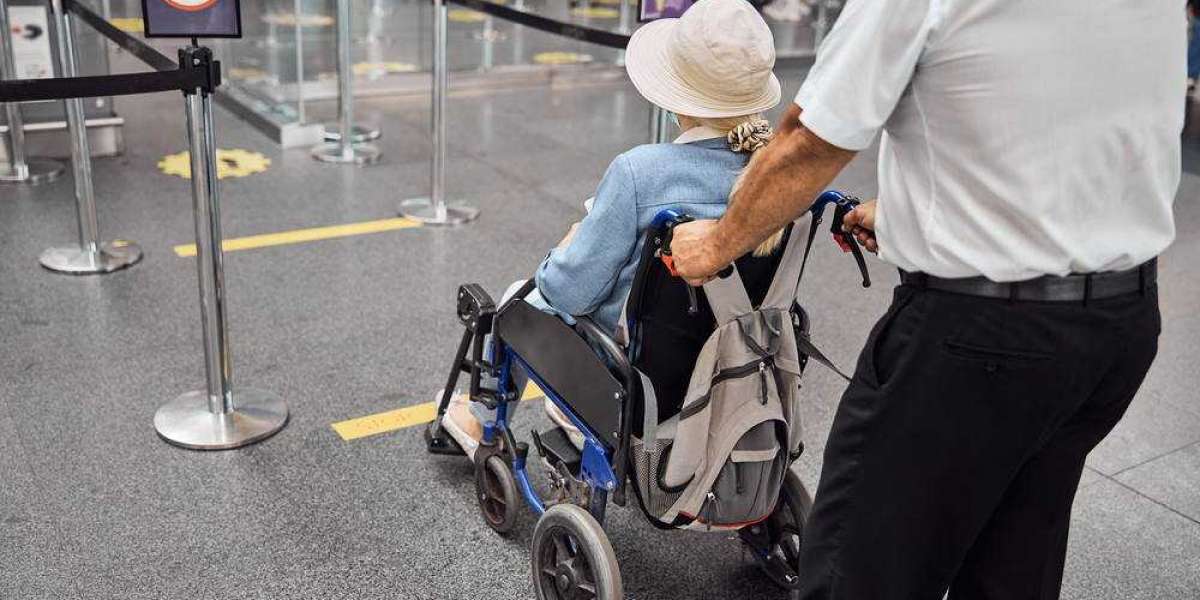 How does a person in a wheelchair go to the bathroom on a plane?