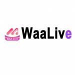 waa live Profile Picture
