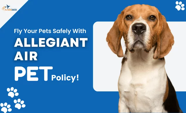 Every Detail About Allegiant Air Pet Policy