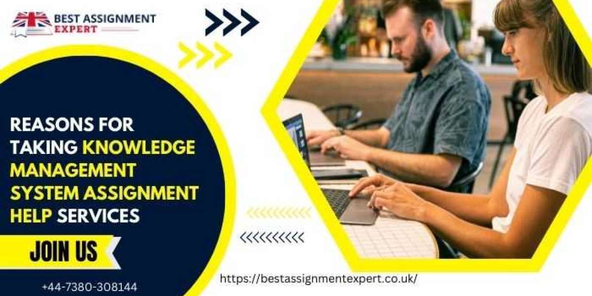 Reasons for Taking knowledge management system assignment help Services