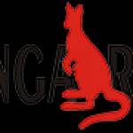 kangaroo kangarooautocare Profile Picture