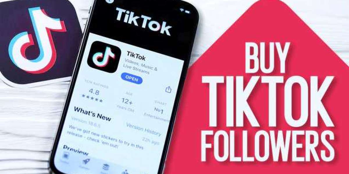 TikTok Supporters: Top 5 Motivations Behind Why You're Not Getting Devotees Quick