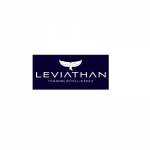 Leviathan Financial Management LLC