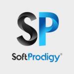 SOFTPRODIGY SYSTEM SOLUTION Profile Picture