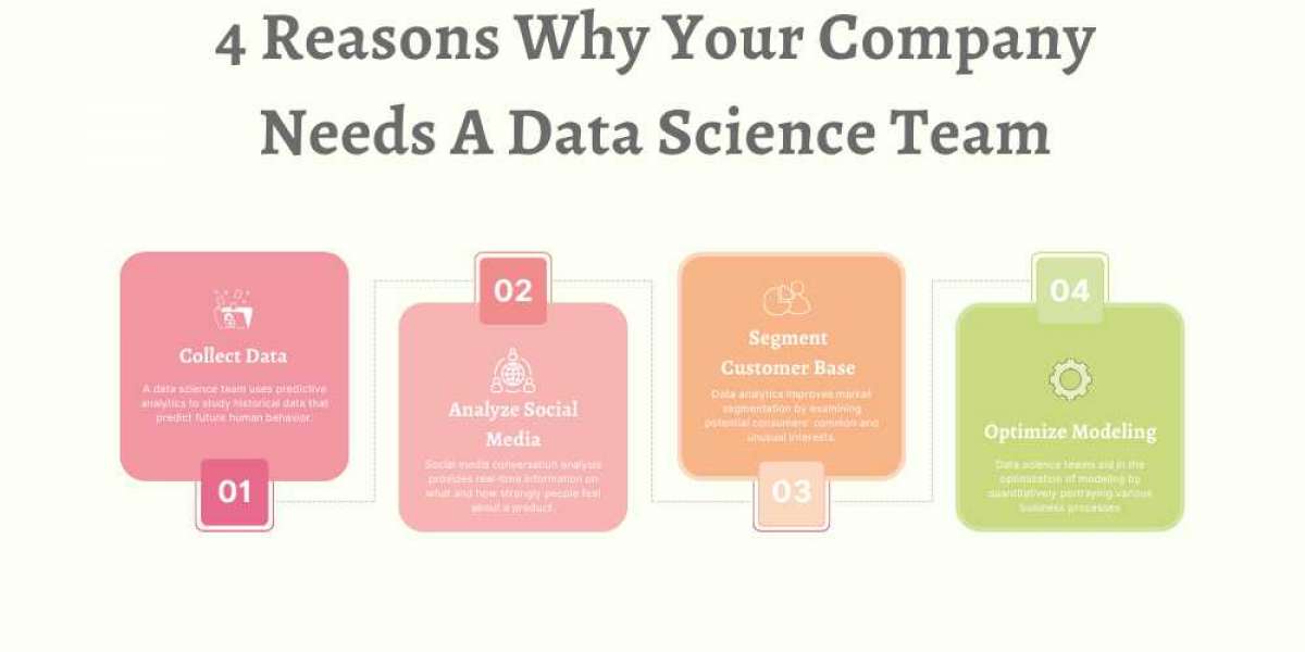 4 Reasons Why Your Company Needs A Data Science Team