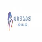 Budget Gadget Profile Picture