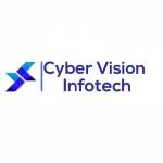 Cyber Vision Infotech Pvt Ltd