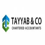 Tayyab  Co Chartered Accountants