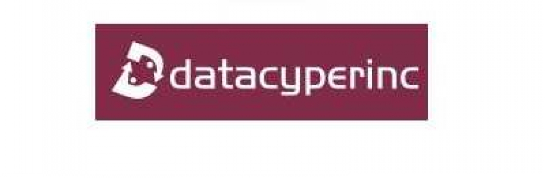Data Cyper Inc Cover Image