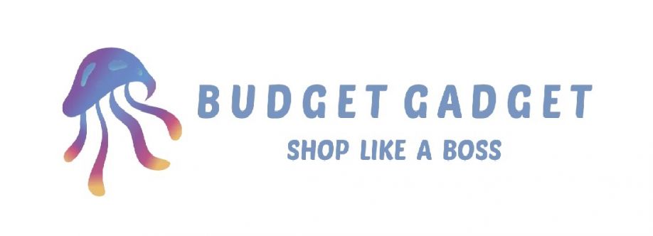 Budget Gadget Cover Image