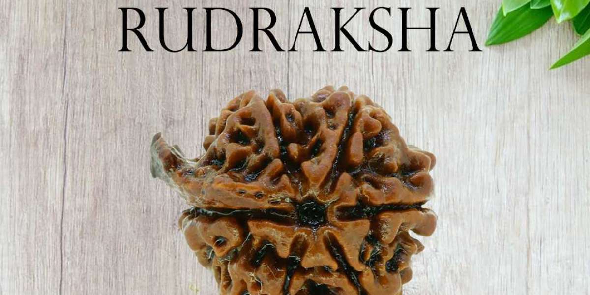 Buy Certified Ganesh Rudraksha From Rashi Ratan Bhagya
