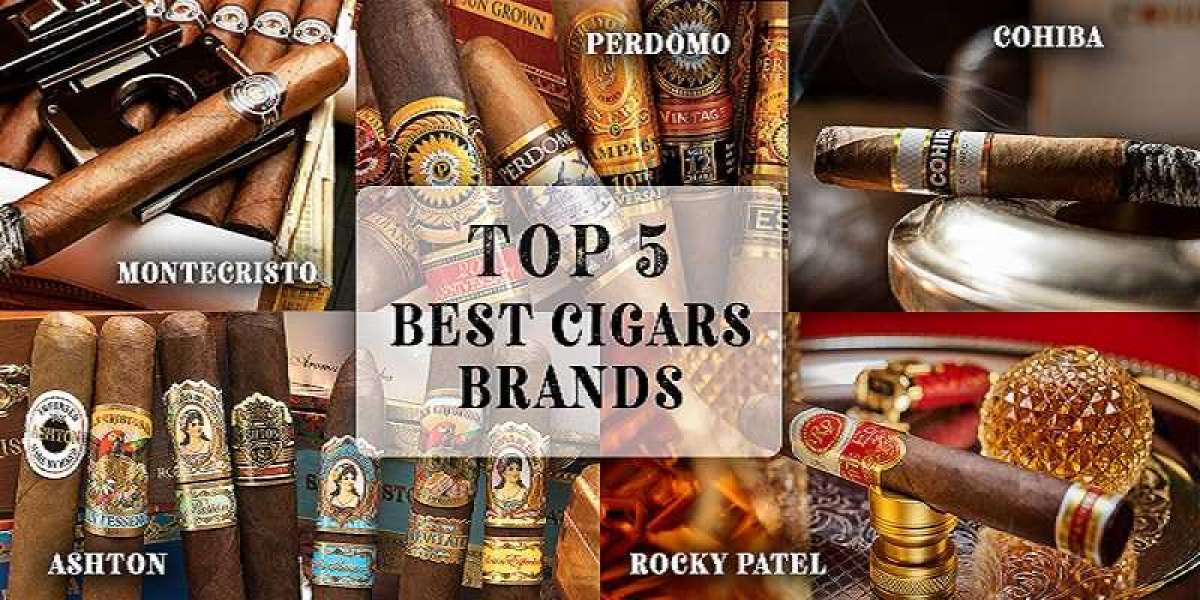 Top 5 Best Cigars Brands - Smokedale Tobacco