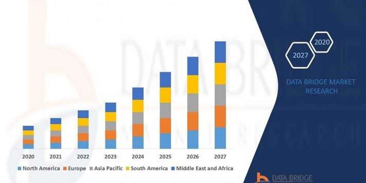 72” Paint Protection Film Market Size, Share, Trends, Demand, Opportunities, Growth Statistics and Competitive Outlook