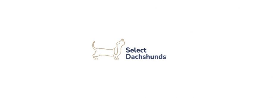 Select Dachshunds Cover Image