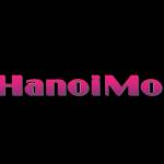 Hanoi Mobie
