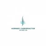 Hornsby Chiropractor Dr Andy Lee Profile Picture