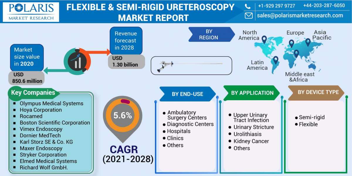 Flexible & Semi-Rigid Ureteroscopy Market Strategic Assessment, Research, Size, Share and Global Expansion by 2032
