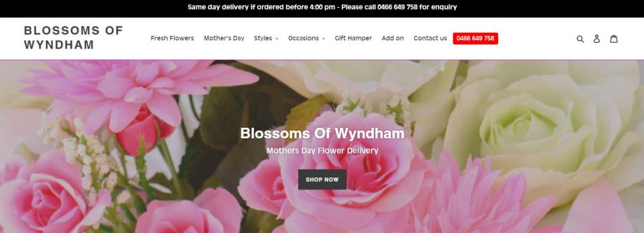 blossomof wyndham Cover Image