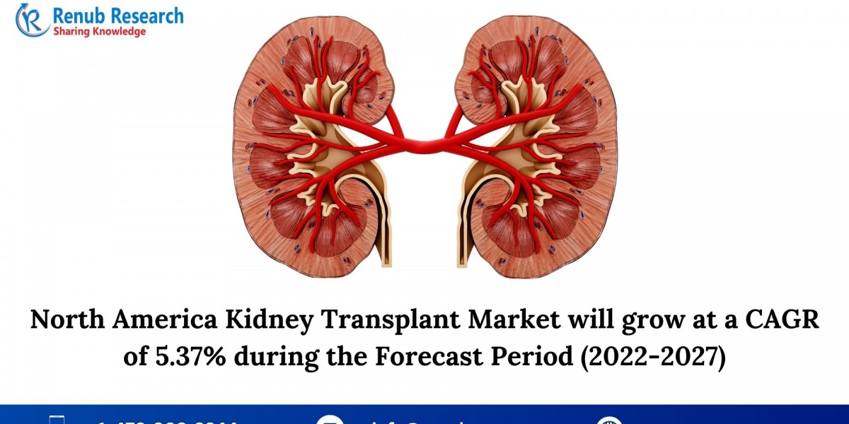 North America Kidney Transplant Market: Trends, Challenges, and Opportunities