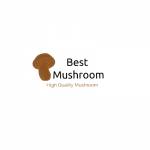 Best Mushroom Shop Profile Picture