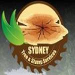 Sydney Tree And Stump Profile Picture