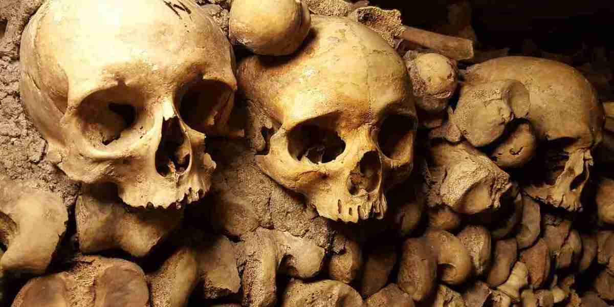 The Silent City: Discovering The Eerie Beauty Of The Forgotten Catacombs
