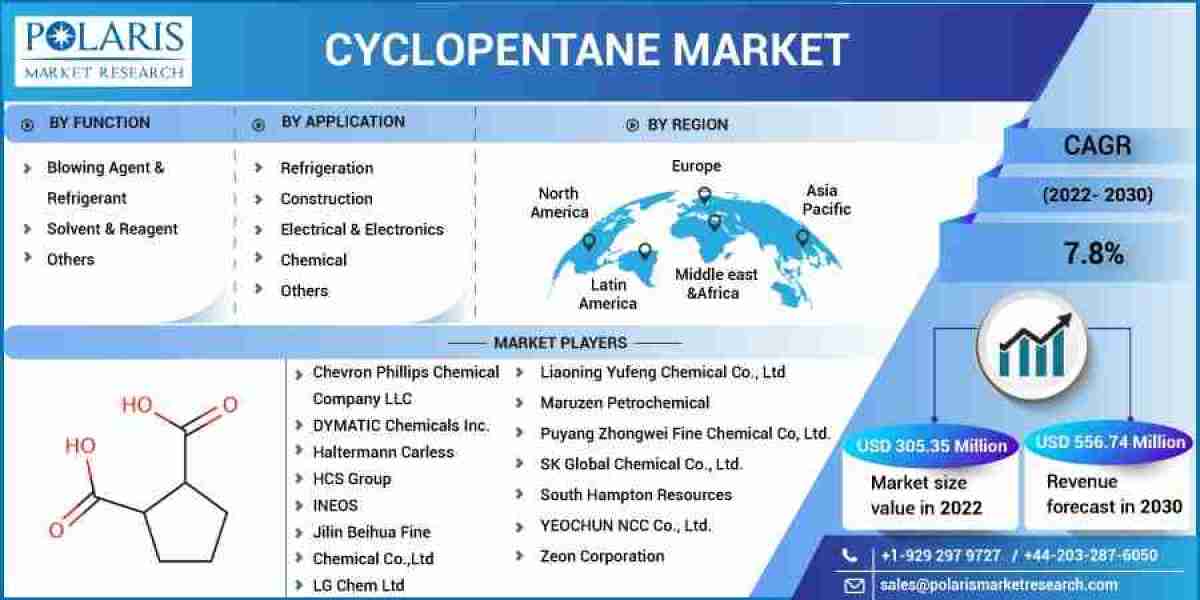 Cyclopentane Market Top Key Players, Target Audience and Forecast to 2032