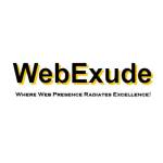Web exude Profile Picture