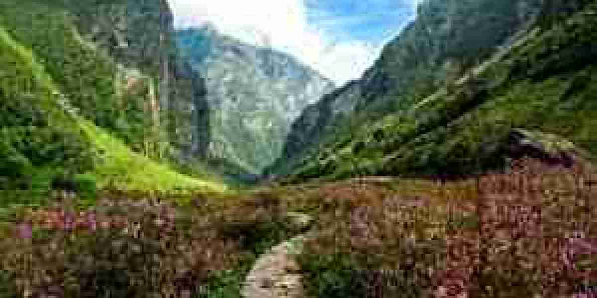 In the Lap of Floral Paradise: Trekking the Valley of Flowers