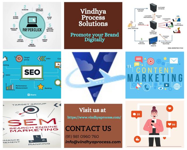 Home - Best Digital Marketing Company in Noida - Vindhya Process Solutions