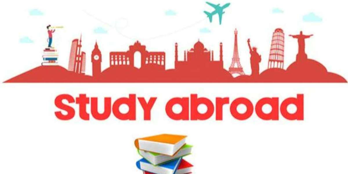 Cultural Shock: Navigating a New Way of Life While Studying Abroad