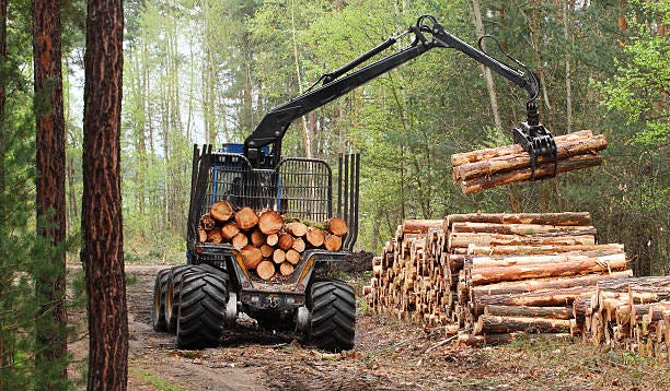 Exploring Various Methods of Land Clearing | by BW Timber Harvesting | Aug, 2023 | Medium