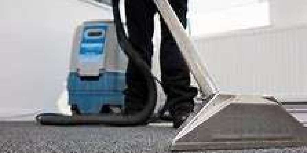 Experience the Dramatic Change with Professional Carpet Cleaning Services