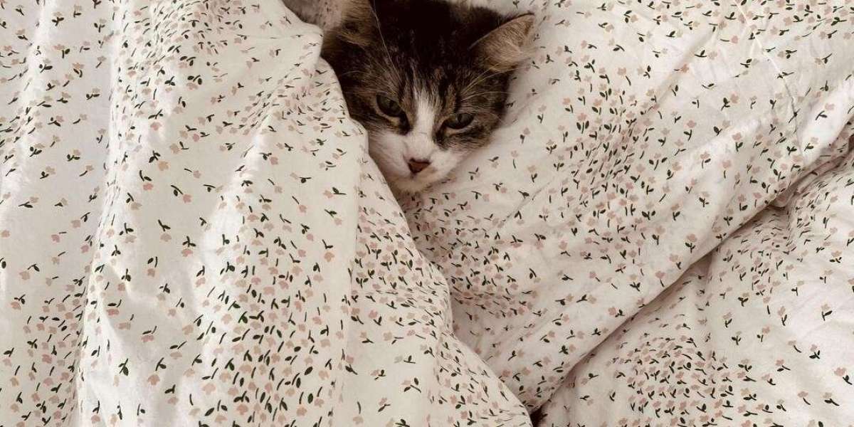 The Hidden Benefits of Weighted Blankets for Anxious Cats