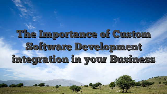 Importance of Custom Software Development integration