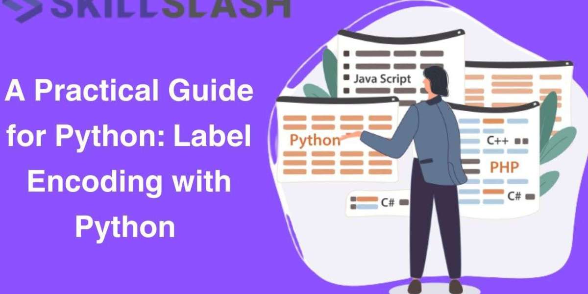 A Practical Guide for Python: Label Encoding with Python 