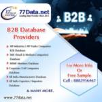 B2B Database Contact Details Provider