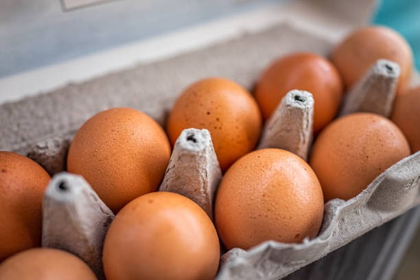 What's So Special About Pasture-Raised Eggs?