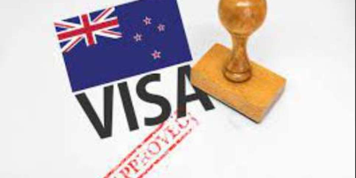 Embarking on Excitement: Your Handbook to the New Zealand Tourist Visa Process for Indians
