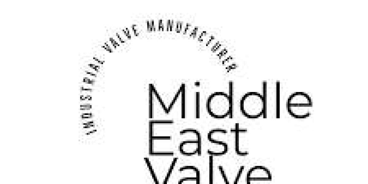 Swing check valve supplier in Bahrain