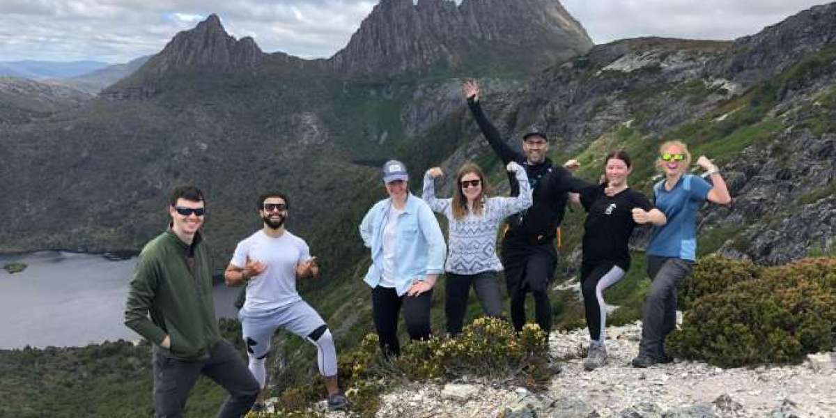 Embark on Unforgettable Adventures with Group Tours in Tasmania