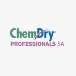 Chem Dry professionals