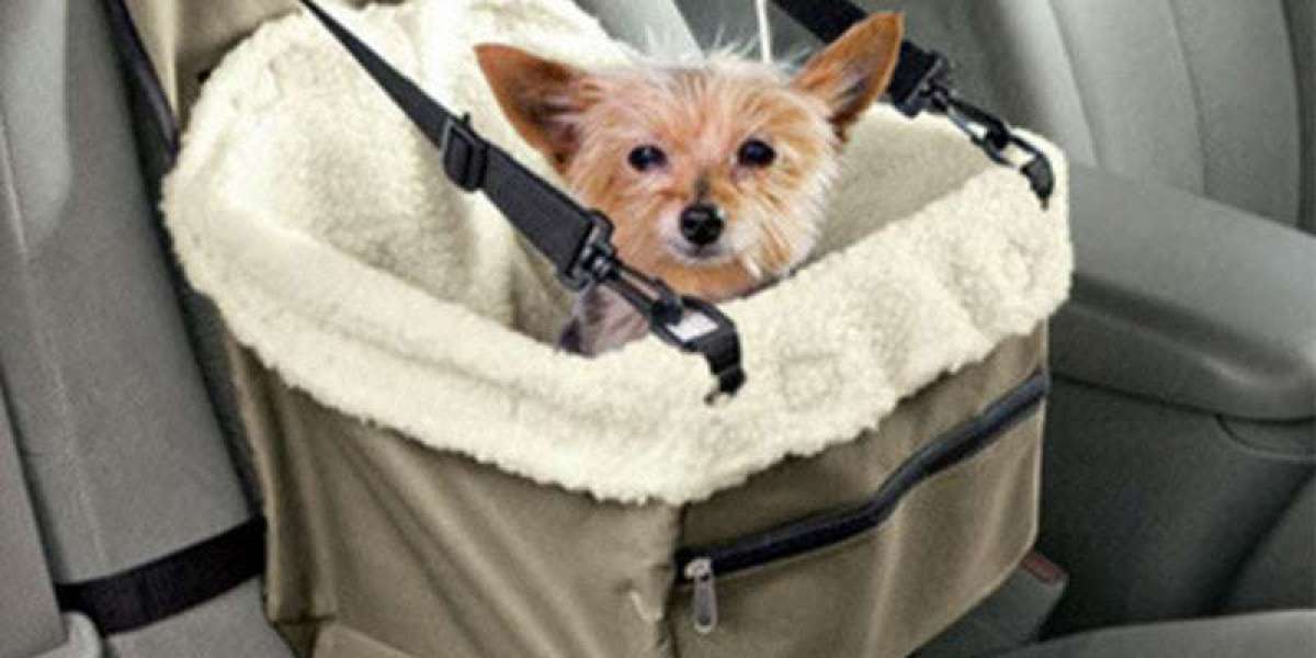 Why Must You Think About Getting Your Canine His/Her Own Backpack