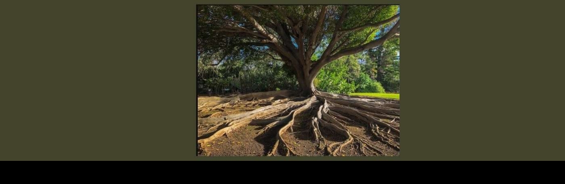 Roots Tree Service And Landscaping LLC Cover Image